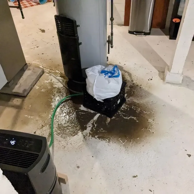 Sewage Backup Cleanup Service in Blue Hills, CT